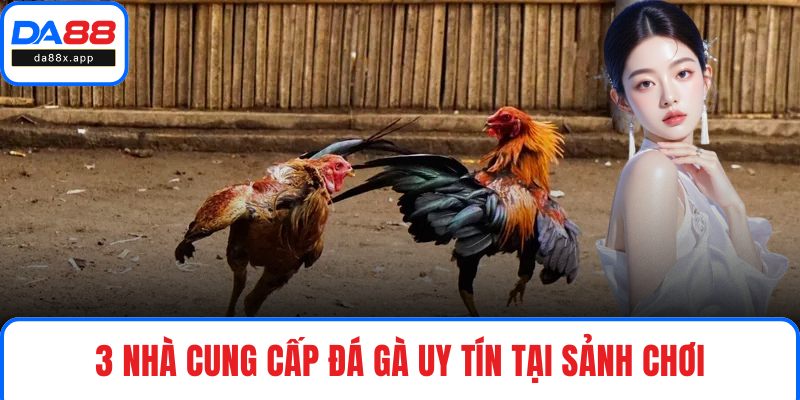 3 nhà cung cấp đá gà uy tín tại sảnh chơi