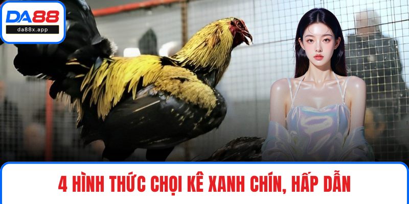 4 hình thức chọi kê xanh chín, hấp dẫn trên thị trường