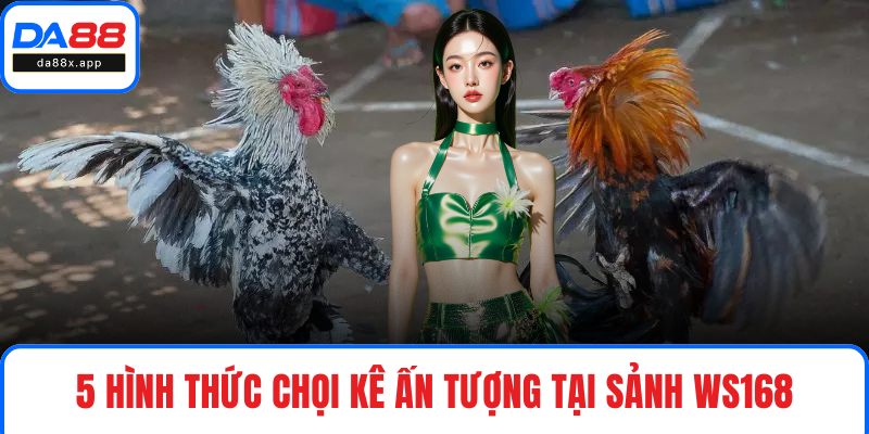Ws168 Đá Gà - Sảnh Chọi Kê Xanh Chín Hàng Đầu Tại DA88 5 hình thức chọi kê ấn tượng tại sảnh Ws168