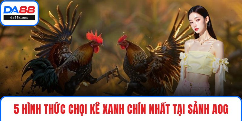 5 hình thức chọi kê xanh chín nhất tại sảnh AOG