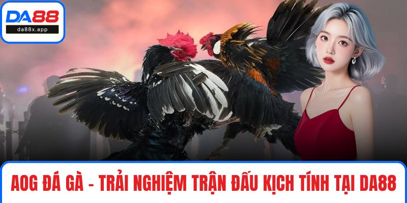 AOG Đá Gà