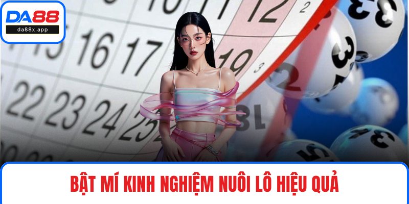 Bật mí kinh nghiệm nuôi lô hiệu quả