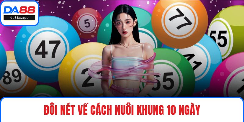 Cách Nuôi Khung 10 Ngày DA88 - Bí Quyết Đánh Lô Hiệu Quả Đôi nét về cách nuôi khung 10 ngày