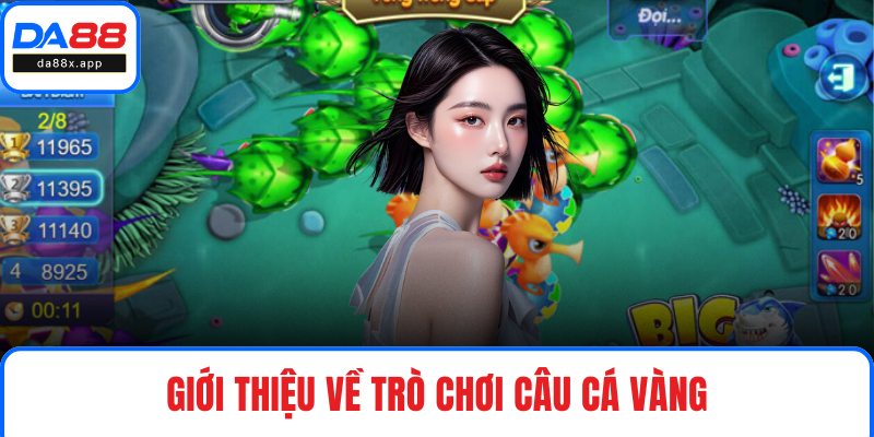 Giới thiệu về trò chơi Câu Cá Vàng