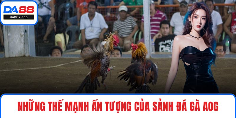 Những thế mạnh ấn tượng của sảnh đá gà AOG