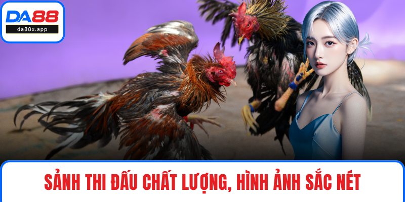 Sảnh thi đấu chất lượng, hình ảnh sắc nét