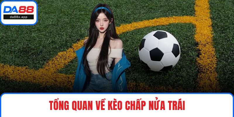 Tổng quan về kèo chấp nửa trái