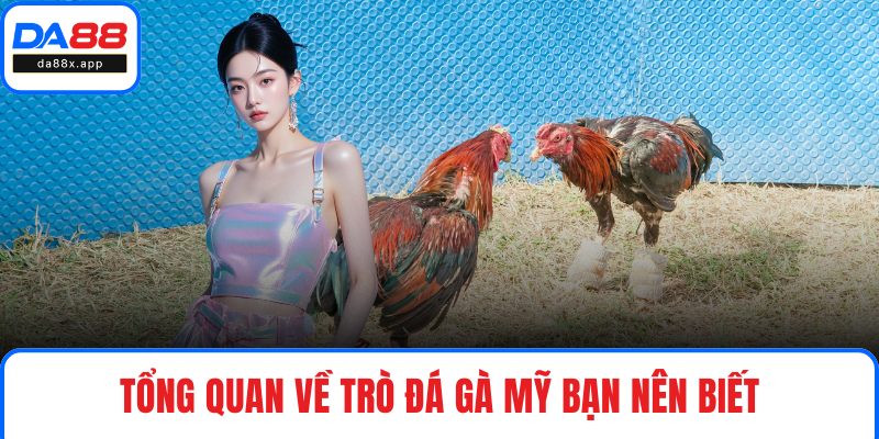 Tổng quan về trò đá gà Mỹ bạn nên biết