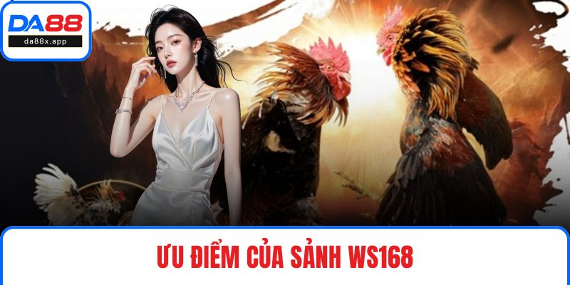 Ws168 Đá Gà - Sảnh Chọi Kê Xanh Chín Hàng Đầu Tại DA88 Ưu điểm của sảnh Ws168