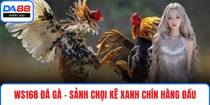 Ws168 Đá Gà - Sảnh Chọi Kê Xanh Chín Hàng Đầu Tại DA88 Ws168 Đá Gà